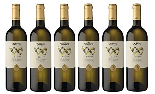 6x 0,75l - 2022er - Weingut Wilhelm Walch - Krain - Sauvignon Blanc - Alto Adige D.O.P. - Südtirol - Italien - Weißwein trocken von Wein- und Genießerparadies