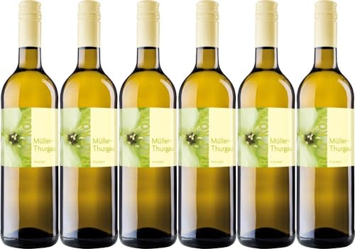 6x Müller Thurgau 2023 - Wein & Secco Köth GmbH, Pfalz - Weißwein von Wein & Secco Köth GmbH