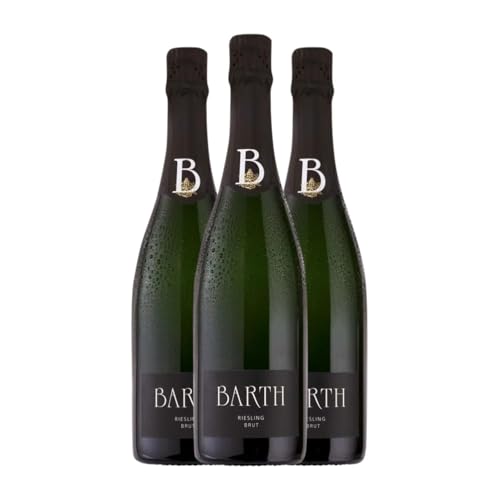 Barth Sekt Riesling Brut Rheingau 75 cl Weißer Sekt (Karton mit 3 Flaschen von 75 cl) von Wein und Sektgut Barth