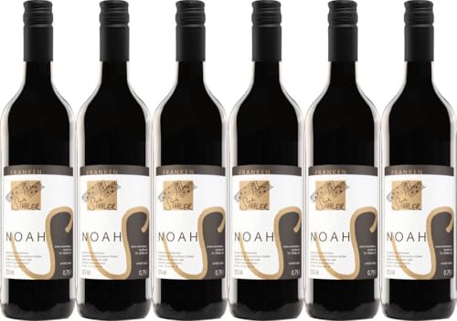 6x Noah 2021 - Weinerlebnis Stühler, Franken - Rotwein von Weinerlebnis Stühler