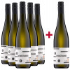 Andres am Lilienthal 2021 5+1 Paket Gewürztraminer trocken von Weingut Andres am Lilienthal