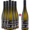 Andres am Lilienthal 2021 5+1 Paket Grauburgunder trocken BIO von Weingut Andres