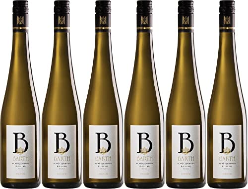 6x VdP.Wein- & Sektgut Barth Riesling Schützenhaus 1. Lage 2019 - Weingut Barth (Rheingau), Rheingau - Weißwein von Weingut Barth (Rheingau)