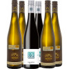 Berger  Ried Mühlberg Grüner Veltliner Reserve Paket von Weingut Berger