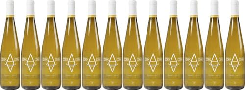 12x Paso a Paso Macabeo-Verdejo 2023 - Weingut Bodegas Volver, Tierra de Castilla - Weißwein von Weingut Bodegas Volver