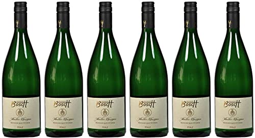 6x Müller- Thurgau 2023 - Weingut Bosch, Pfalz - Weißwein von Weingut Bosch