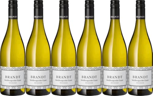 6x Grauburgunder Fumé 2023 - Weingut Brandt, Rheinhessen - Weißwein von Weingut Brandt