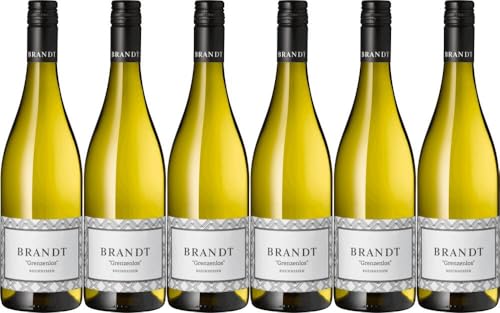 6x Grenzenlos Cuvée 2023 - Weingut Brandt, Rheinhessen - Weißwein von Weingut Brandt