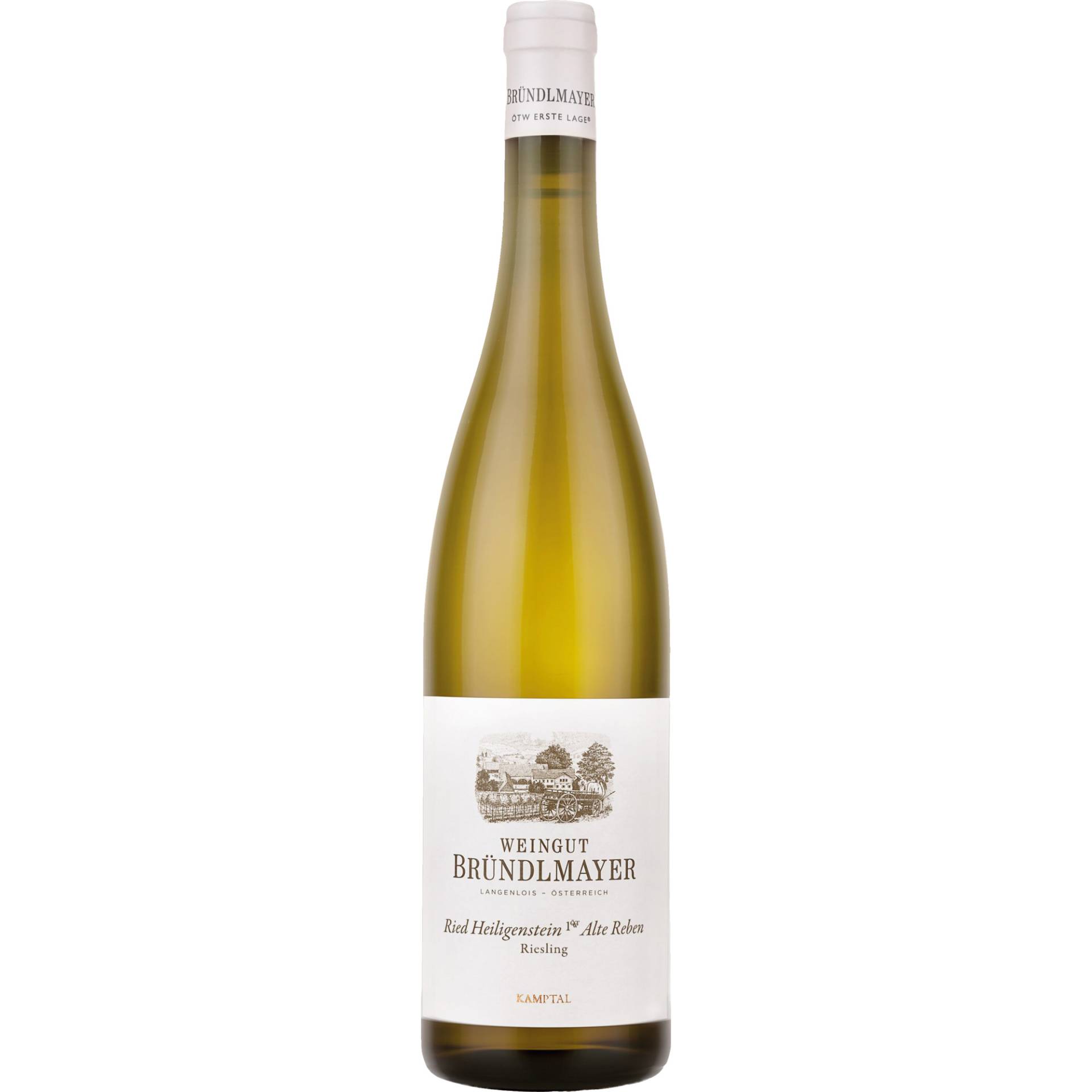 Alte Reben Ried Heiligenstein Riesling, Trocken,Kamptal, Niederösterreich, 2020, Weißwein von Weingut Bründlmayer,3550,Langenlois,Österreich
