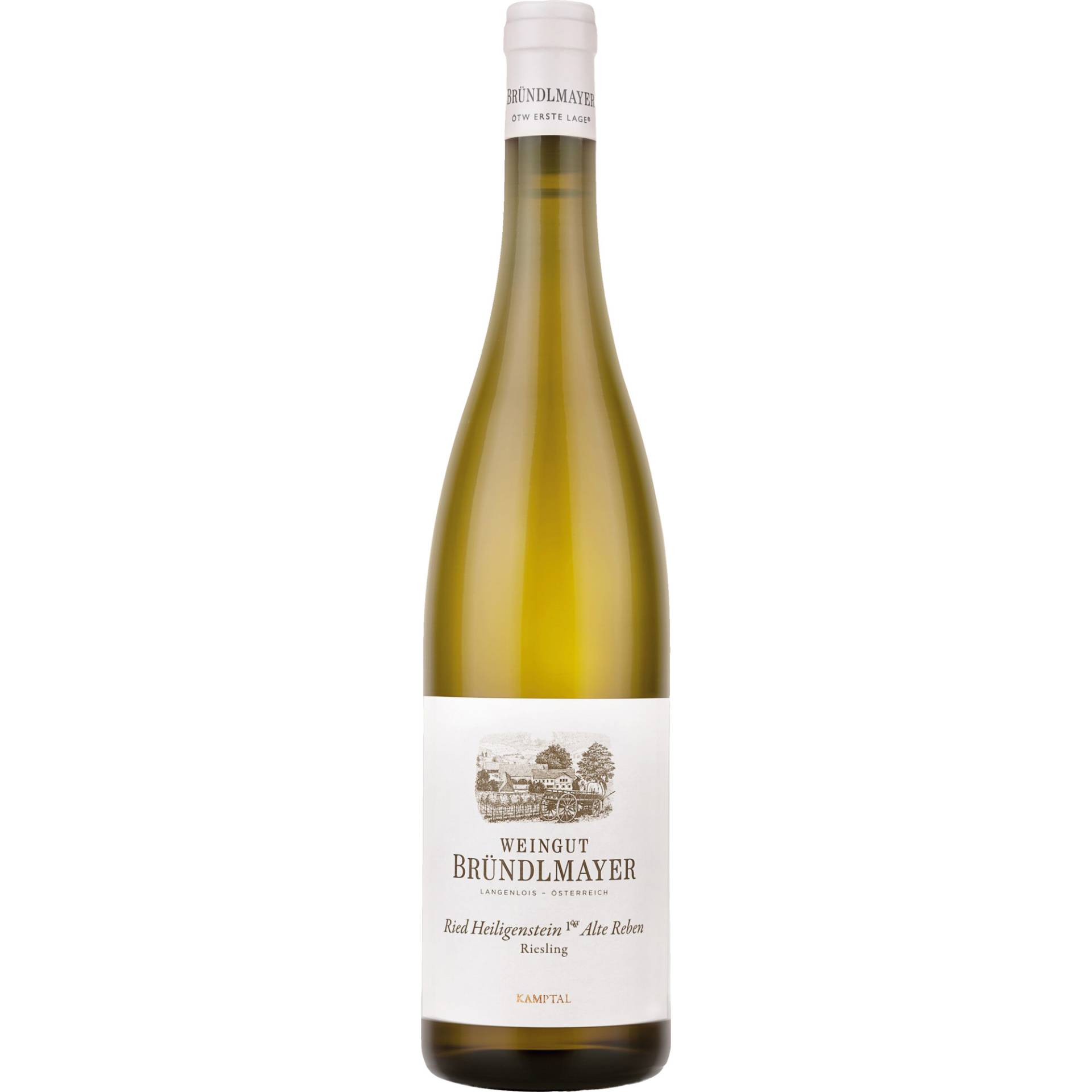 Alte Reben Ried Heiligenstein Riesling, Trocken,Kamptal, Niederösterreich, 2021, Weißwein von Weingut Bründlmayer,3550,Langenlois,Österreich