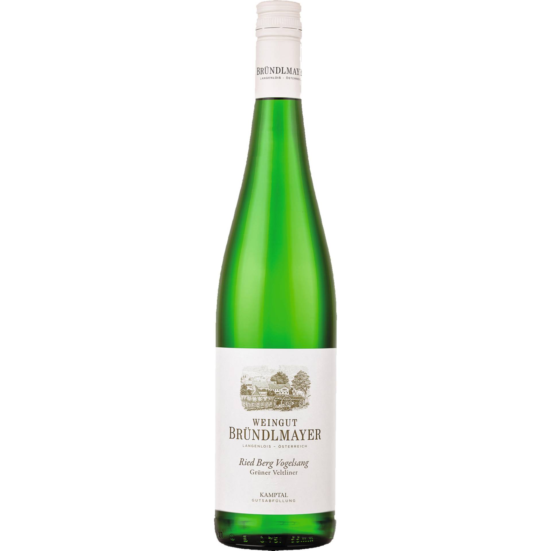 Berg Vogelsang Grüner Veltliner, Kamptal DAC, Niederösterreich, 2023, Weißwein von Weingut Bründlmayer,3550,Langenlois,Österreich