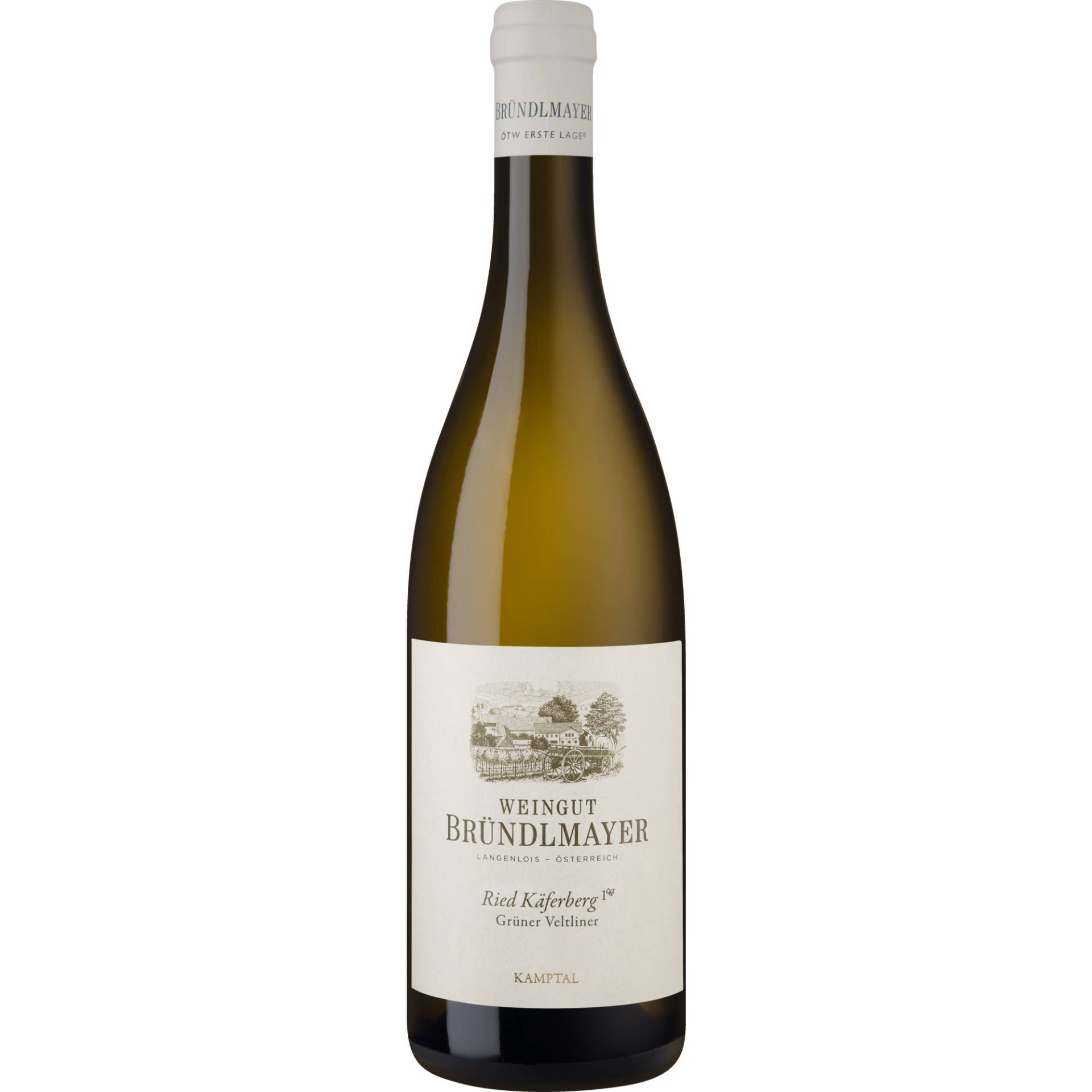 Bründlmayer Ried Käferberg Grüner Veltliner, Kamptal DAC, Erste Lage, Niederösterreich, 2021, Weißwein von Weingut Bründlmayer GmbH, 3550 Langenlois, Österreich