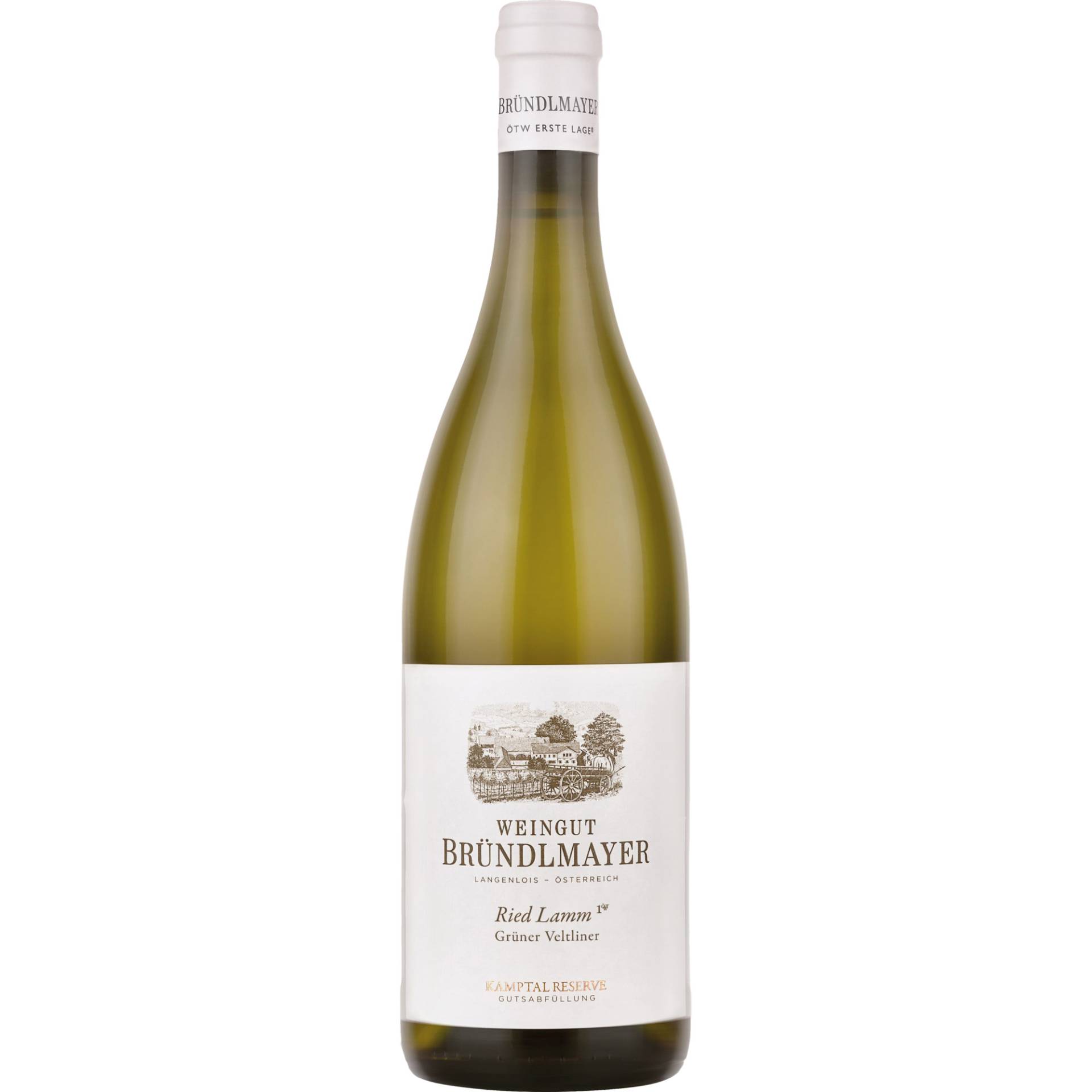 Grüner Veltliner Kammerner Lamm, Kamptal DAC, Niederösterreich, 2022, Weißwein von Weingut Bründlmayer,3550,Langenlois,Österreich