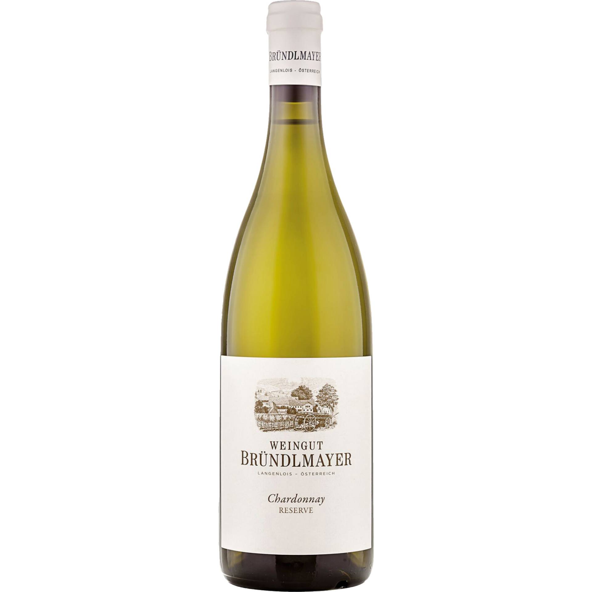 Ried Steinberg Chardonnay Reserve, Kamptal, Trocken, Niederösterreich, 2022, Weißwein von Weingut Bründlmayer,3550,Langenlois,Österreich