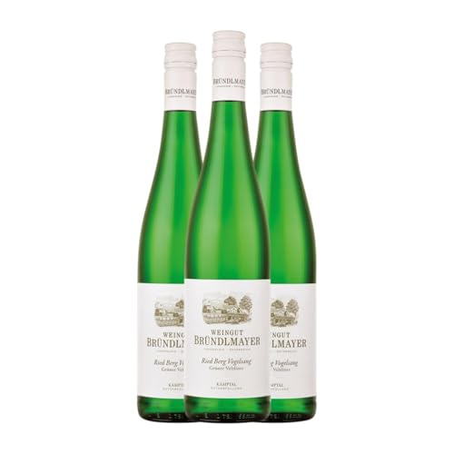 Bründlmayer Grüner Veltliner Berg Vogelsang Kamptal 75 cl Weißwein (Karton mit 3 Flaschen von 75 cl) von Weingut Bründlmayer