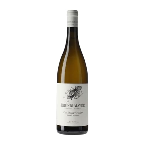 Bründlmayer Ried Spiegel Vincent Kamptal 75 cl Weißwein von Weingut Bründlmayer