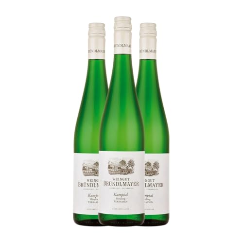 Bründlmayer Terrassen Riesling Kamptal 75 cl Weißwein (Karton mit 3 Flaschen von 75 cl) von Weingut Bründlmayer