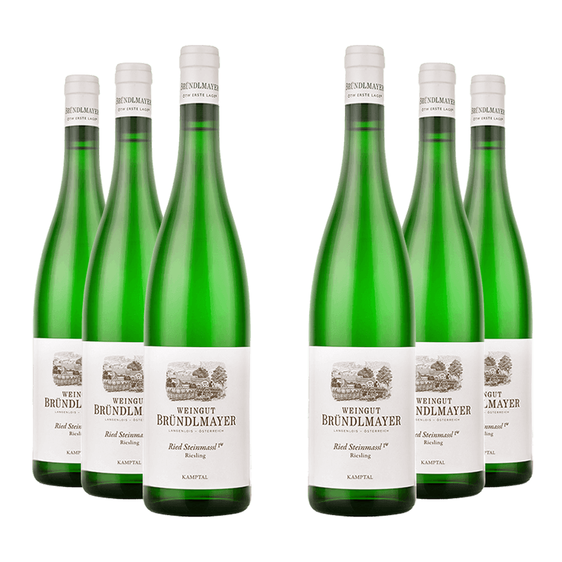 Weingut Bründlmayer : Riesling Langenloiser Steinmassl 2020 von Weingut Bründlmayer