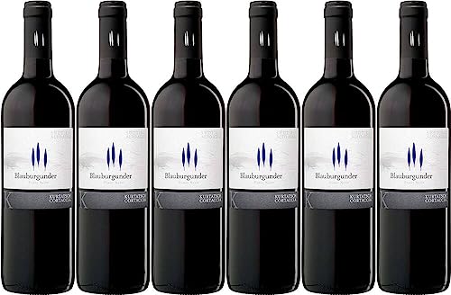 6x Blauburgunder 2023 - Weingut Cantina Kurtatsch, Südtirol - Rotwein von Weingut Cantina Kurtatsch