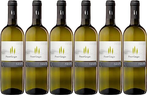 6x Pinot Grigio 2023 - Weingut Cantina Kurtatsch, Südtirol - Weißwein von Weingut Cantina Kurtatsch