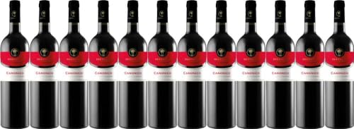 12x Cantine due Palme Canonico Salento Rosso 2022 - Weingut Cantine due Palme, Puglia - Rotwein von Weingut Cantine due Palme