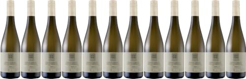 12x Grigioluna Pinot Grigio delle Venezie 2023 - Weingut Cecilia Beretta, Veneto - Weißwein von Weingut Cecilia Beretta