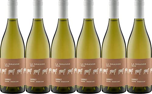 6x Tradition Laubret Blanc Côtes de Thongue 2023 - Weingut Domaine La Grange, Languedoc - Weißwein von Weingut Domaine La Grange