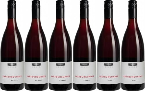 6x Heger Spätburgunder,Sonett' 2019 - Weingut Dr. Heger, Baden - Rotwein von Weingut Dr. Heger