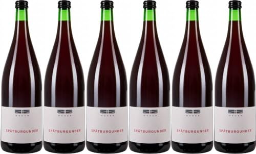 6x Heger Spätburgunder Trocken 1 L 2019 - Weingut Dr. Heger, Baden - Rotwein von Weingut Dr. Heger