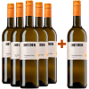 Dr. Heyden 2023 5+1 Paket Sauvignon Blanc trocken von Weingut Dr. Heyden