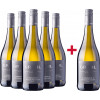 Eckehart Gröhl 2023 5+1 Paket Chardonnay & Weißburgunder trocken von Weingut Eckehart Gröhl