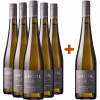 Eckehart Gröhl 2023 5+1 Paket Sauvignon Blanc trocken von Weingut Eckehart Gröhl