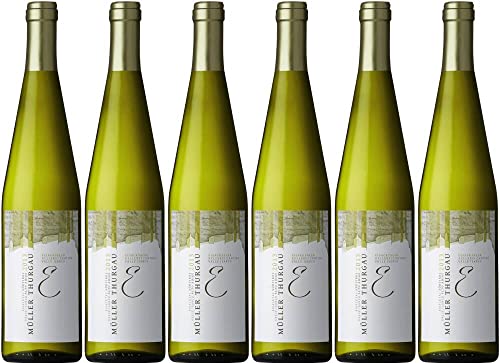 6x Mueller Thurgau 2023 - Weingut Eisacktaler Kellerei, Südtirol - Weißwein von Weingut Eisacktaler Kellerei