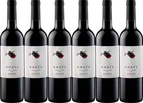 6x Enate Syrah-Shiraz 2019 - Weingut Enate, Somontano - Rotwein von Weingut Enate