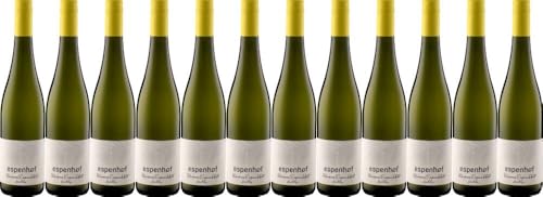 12x Weisses Espenblatt fruchtig 2023 - Weingut Espenhof, Rheinhessen - Weißwein von Weingut Espenhof