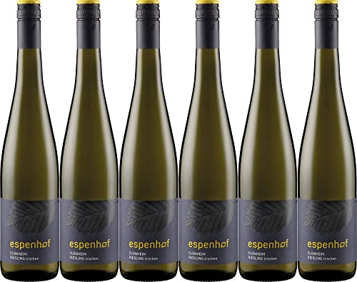 6x Flonheimer Weisser Riesling trocken 2022 - Weingut Espenhof, Rheinhessen - Weißwein von Weingut Espenhof