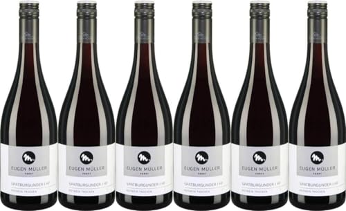 6x #1947 Spätburgunder 'HF' trocken 2019 - Weingut Eugen Müller, Pfalz - Rotwein von Weingut Eugen Müller