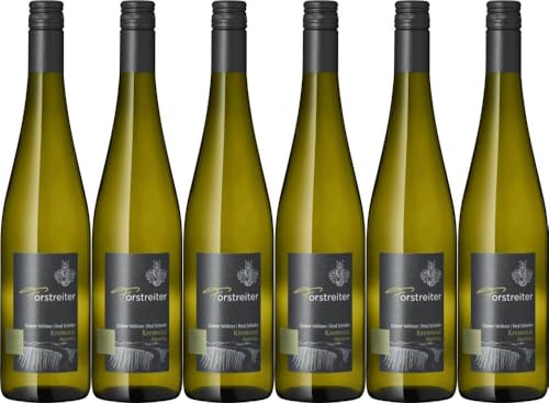 6x Grüner Veltliner Ried Schiefer 2022 - Weingut Forstreiter, Kremstal - Weißwein von Weingut Forstreiter