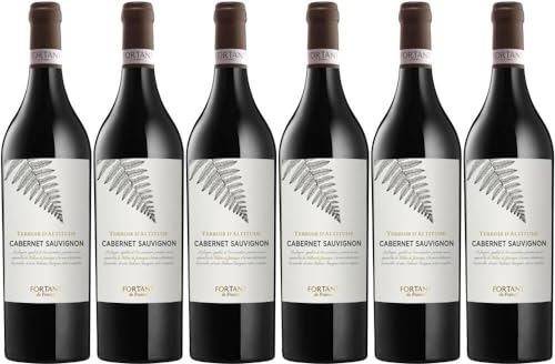 6x Cabernet Sauvignon Terroir d'Altitude 2022 - Weingut Fortant de France, Languedoc - Rotwein von Weingut Fortant de France