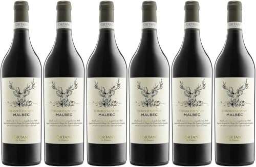 6x Malbec Terroir d'Altitude 2023 - Weingut Fortant de France, Languedoc - Rotwein von Weingut Fortant de France