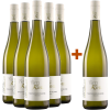 Fritz Kohl 2023 5+1 Paket Sauvignon Blanc trocken von Weingut Fritz Kohl