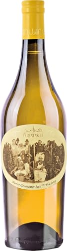 Wieninger Nussberg Wiener Gemischter Satz DAC trocken, BIO-Weisswein aus Wien Österreich (1 x 0.75 l) von Weingut Fritz Wieninger