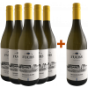 Fuchs 2023 5+1 Paket Steiermark Sauvignon Blanc trocken von Weingut Fuchs