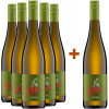 Galler 2022 5+1 Paket Sauvignac trocken Bio von Weingut Galler