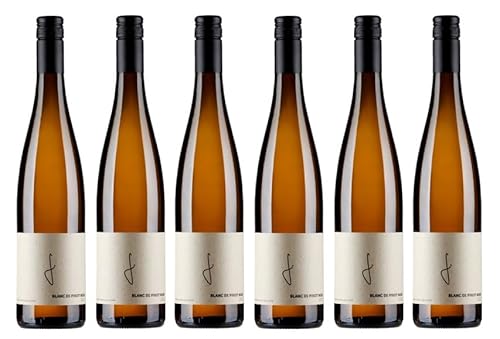 6x 0,75l - 2023er - Weingut Georg Fußer - Blanc de Pinot Noir - feinherb - Qualitätswein Pfalz - Deutschland - Weißwein halbtrocken von Weingut Georg Fußer