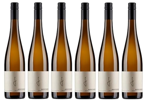 6x 0,75l - 2023er - Weingut Georg Fußer - Ruppertsberger Sauvignon Blanc - Qualitätswein Pfalz - Deutschland - Weißwein trocken von Weingut Georg Fußer