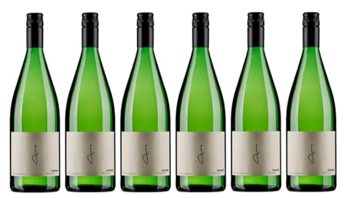 6x 1,0l - 2022er - Weingut Georg Fußer - Riesling - LITER - Qualitätswein Pfalz - Deutschland - Weißwein trocken von Weingut Georg Fußer