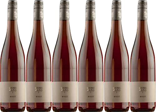 6x Rosé trocken 2023 - Weingut Georg Zang, Franken - Rosé von Weingut Georg Zang