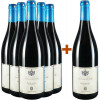 Graf von Bentzel-Sturmfeder 2019 5+1 Paket Schozach Merlot ** trocken von Weingut Graf von Bentzel-Sturmfeder