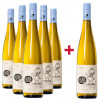 Gruber Röschitz 2024 5+1 Paket Grüner Veltliner Weinviertel DAC trocken BIO von Weingut Gruber Röschitz